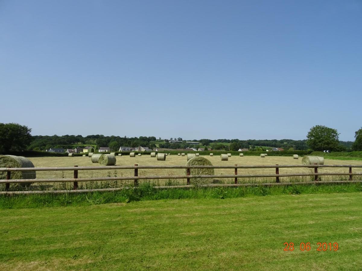 Red Kite Barn Villa Ammanford Exterior photo